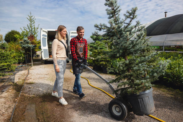 Best Tree Risk Assessment  in Melissa, TX